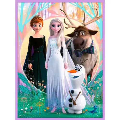 Disney Frozen 2 in 1 Puzzle “Princesses” - 30 + 48 Pieces